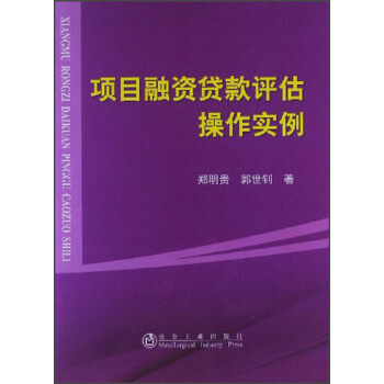 項目融資貸款評估操作實例 pdf epub mobi 電子書 下載