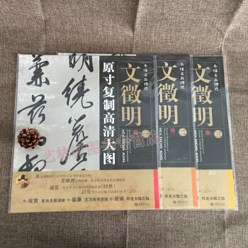 原寸复制高清大图 文徵明 字帖 书法碑帖 套装全3幅 文徵明1.条幅名品精选:原寸 pdf epub mobi 电子书 下载