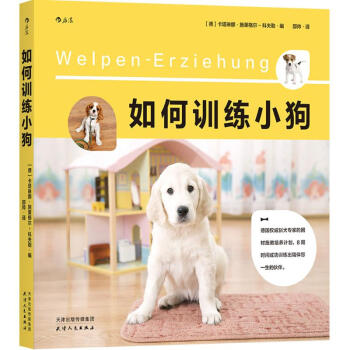 如何训练小狗