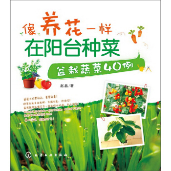 像养花一样在阳台种菜：盆栽蔬菜40例 pdf epub mobi 电子书 下载