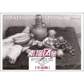 敲門磚·素描風暴係列美術叢書·係描風暴：素描靜物·全攻略 pdf epub mobi 電子書 下載