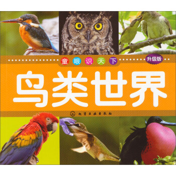 童眼識天下：鳥類世界（升級版） [7-10歲] pdf epub mobi 電子書 下載