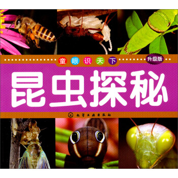 童眼識天下：昆蟲探秘（升級版） [5-10歲] pdf epub mobi 電子書 下載