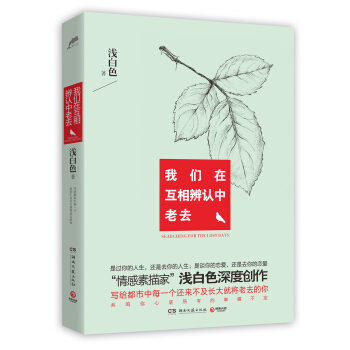 我们在互相辨认中老去 pdf epub mobi 电子书 下载