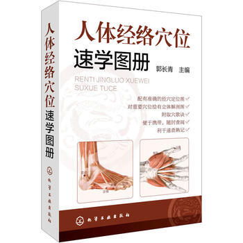人体经络穴位速学图册