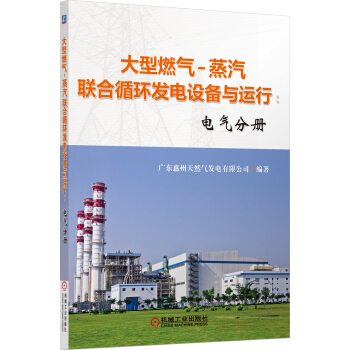 大型燃气-蒸汽联合循环发电设备与运行：电气分册 pdf epub mobi 电子书 下载