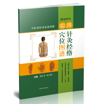 實用針灸經絡穴位圖譜（附說明書） pdf epub mobi 電子書 下載