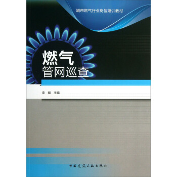 城市燃气行业岗位培训教材：燃气管网巡查 pdf epub mobi 电子书 下载