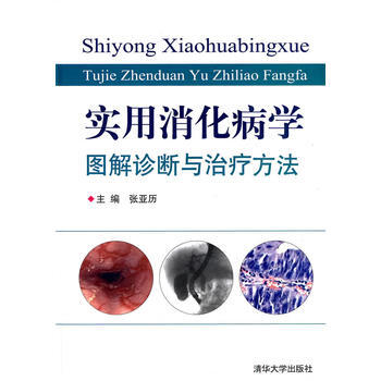 实用消化病学——图解诊断与治疗方法 pdf epub mobi 电子书 下载
