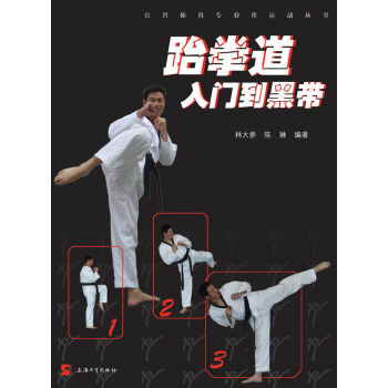 公共体育专业化运动丛书：跆拳道入门到黑带 pdf epub mobi 电子书 下载
