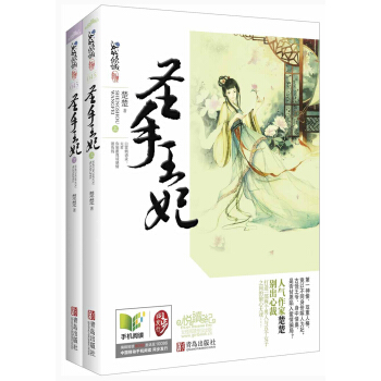 圣手王妃（套装共2册） pdf epub mobi 电子书 下载
