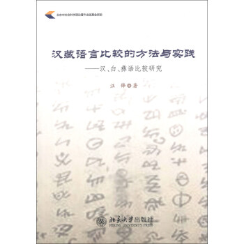 漢藏語言比較的方法與實踐：漢、白、彝語比較研究 pdf epub mobi 電子書 下載