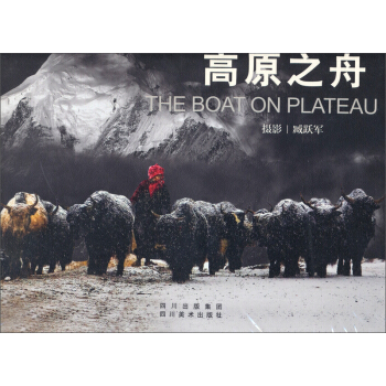 高原之舟 pdf epub mobi 电子书 下载