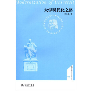 大学现代化之路 pdf epub mobi 电子书 下载