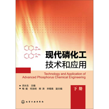 現代磷化工技術和應用(下冊)