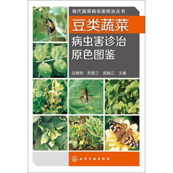 现代蔬菜病虫害防治丛书：豆类蔬菜病虫害诊治原色图鉴 pdf epub mobi 电子书 下载