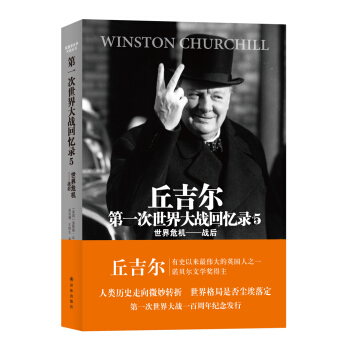 世界大战丛书·丘吉尔第一次世界大战回忆录5：世界危机战后 pdf epub mobi 电子书 下载