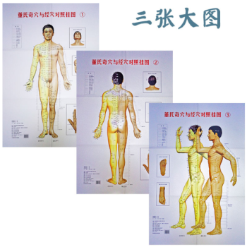 董氏奇穴與經穴對照掛圖 pdf epub mobi 電子書 下載