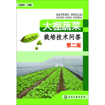 大棚蔬菜栽培技术问答（第2版） pdf epub mobi 电子书 下载