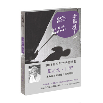 幸福过了头 [Too Much Happines] pdf epub mobi 电子书 下载