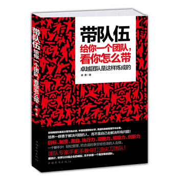 帶隊伍：給你一個團隊，看你怎麼帶 pdf epub mobi 電子書 下載