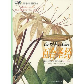 百合圣经(精装)