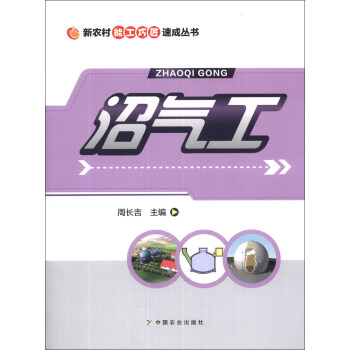 新农村能工巧匠速成丛书：沼气工 pdf epub mobi 电子书 下载