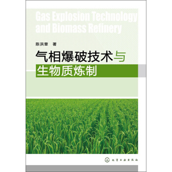 氣相爆破技術與生物質煉製 pdf epub mobi 電子書 下載