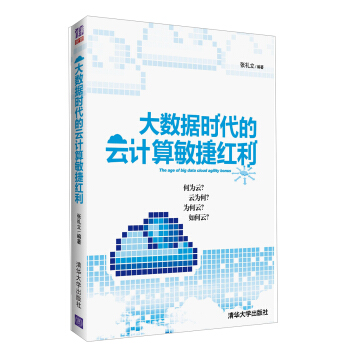 大数据时代的云计算敏捷红利 pdf epub mobi 电子书 下载
