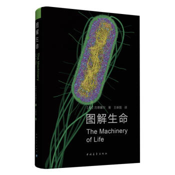 圖解生命 pdf epub mobi 電子書 下載