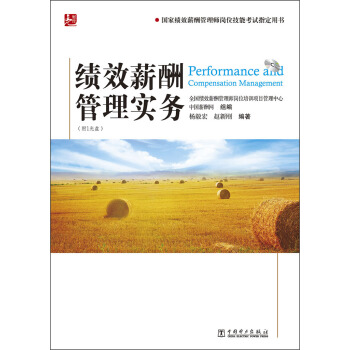 国家绩效薪酬管理师岗位技能考试指定用书：绩效薪酬管理实务（附光盘） pdf epub mobi 电子书 下载