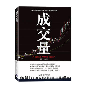 成交量:典型股票分析全程图解 王江华