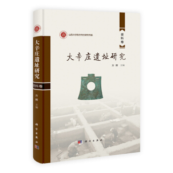 山东大学东方考古研究书系:大辛庄遗址研究(研究卷·资料卷)(套装共2册)