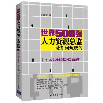 世界500强人力资源总监是如何炼成的 从实习生到CHO的故事 pdf epub mobi 电子书 下载