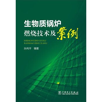 生物质锅炉燃烧技术及案例
