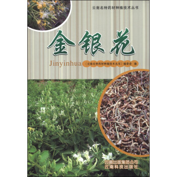 云南名特药材种植技术丛书：金银花 pdf epub mobi 电子书 下载