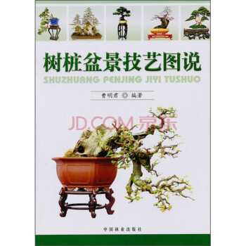 樹樁盆景技藝圖說 ）園藝 花藝 插花，中國林業齣版社 pdf epub mobi 電子書 下載