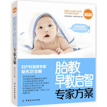 胎教早教啓智專傢方案 pdf epub mobi 電子書 下載