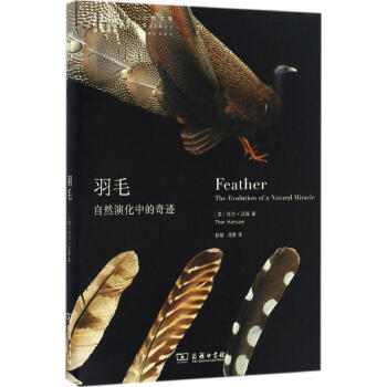 羽毛 pdf epub mobi 電子書 下載