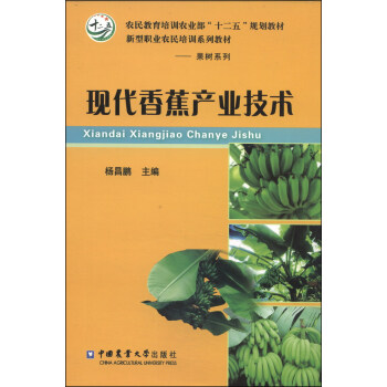 现代香蕉产业技术/农民教育培训农业部“十二五”规划教材·新型职业农民培训系列教材·果树系列 pdf epub mobi 电子书 下载