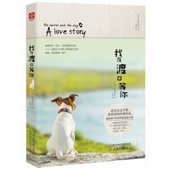 我在渡口等你 pdf epub mobi 电子书 下载