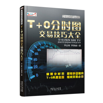 T+0分时图交易技巧大全