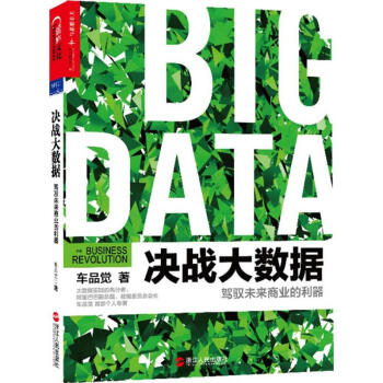 決戰大數據 pdf epub mobi 電子書 下載