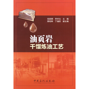 油页岩干馏炼油工艺 pdf epub mobi 电子书 下载
