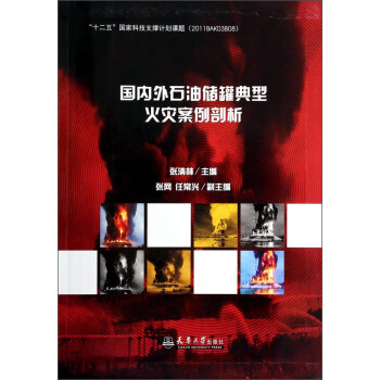 國內外油儲罐典型火災案例剖析 pdf epub mobi 電子書 下載