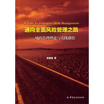 通嚮全麵風險管理之路：風險管理理論與實踐感悟 pdf epub mobi 電子書 下載