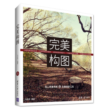 完美构图 pdf epub mobi 电子书 下载