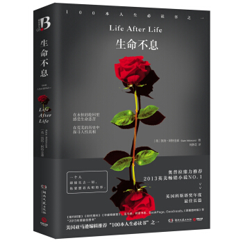 生命不息 [Life After Life] pdf epub mobi 电子书 下载