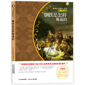 钢铁是怎样炼成的（前苏联经典名著 青少彩绘版 培养孩子在风暴练就钢铁意志和崇高品德） pdf epub mobi 电子书 下载