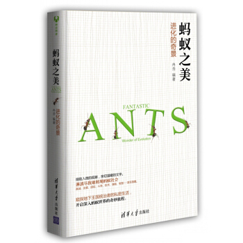 蚂蚁之美：进化的奇景 pdf epub mobi 电子书 下载